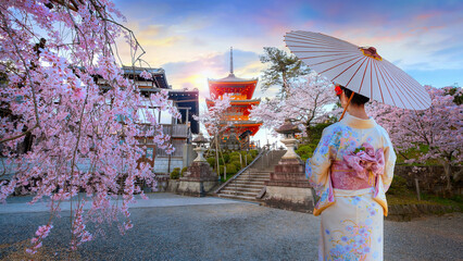 Young Japanese women in a traditional Kimono dress at Kiyomizu-dera temple sunrise during full bloom cherry blossom in Kyoto, Japan - obrazy, fototapety, plakaty
