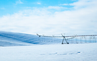 Next Season's crop sleeping snug under a blanket of Snow 