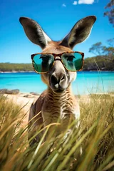 Fotobehang kangaroo in turquoise glasses. banner with blue background. Australian animal. advertising. Australia nature, postcard © Al