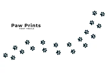 Fotobehang cute paw print trail white background design © starlineart