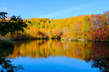 秋の鎌池