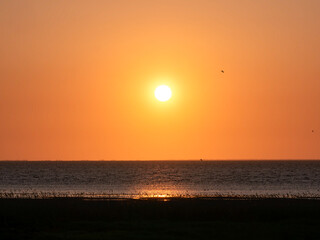 Sunset The North Sea view
