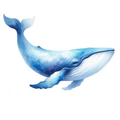 Blue whale Watercolor clip art