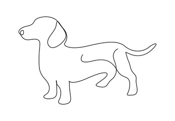 Continuous single line art of dachshund dog vector illustration. Animal logo identity. Premium vector