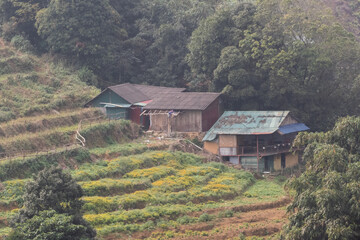 Cat Cat Village locate in Sa Pa Destrict, Lao Cai Province, Northern Vietnam