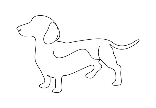 One continuous line drawing of cute dachshund dog for logo identity. Isolated on white background vector illustration. Free vector