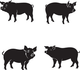 Set of Pig black silhouette on white background 