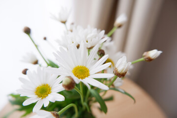 Fototapeta premium Spring flowers on wooden table. beautiful floral image background. Seasonal flower interior.