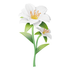 Jasmine branch with blooming white flowers isolated on a transparent background. Jasmine bloom. High resolution image.