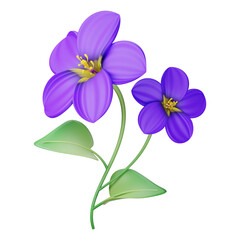 A blooming blue viola odorata flower bunch isolated on transparent background.. Purple crocus flowers.  pansies 