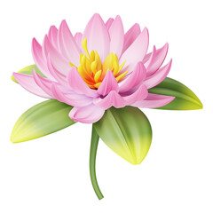 Pink lotus flower full open isolated on transparent background. blooming lotus flower.. clipping path embedded.
