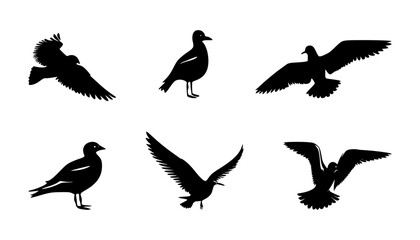 Obraz premium set of seagull silhouettes on isolated background