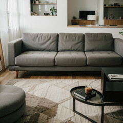 modern living room with sofa