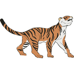 tiger cartoon isolated on white