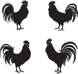 Set of Rooster black silhouette on white background 