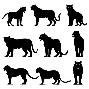 set of silhouettes of panther