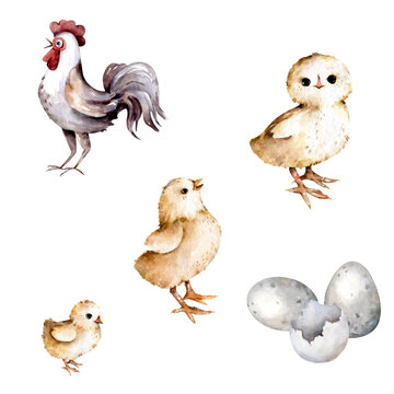 Easter animals. Goose, rooster, chickens, mouse, flowers. Happy Easter watercolor illustration