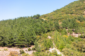 Green trees grow on the slopes of the mountains