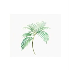 Palm leaf watercolor illustration