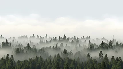 Blackout roller blinds Forest in fog mist in the mountains