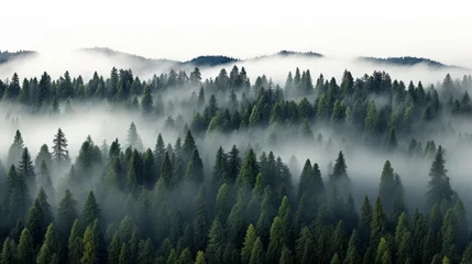 Fototapeten mist in the mountains © Ahmad