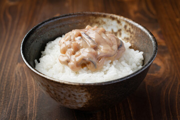 イカ塩辛とごはん