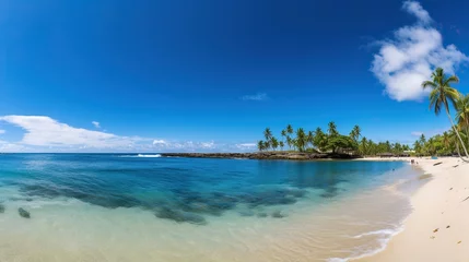 Fotobehang beach views with coconut trees, bright blue skies, stunning tropical beach views. Clear white sand beach on a summer day. © elli_