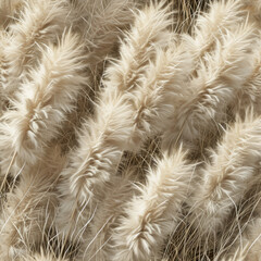 Pampas grass texture hyper realistic