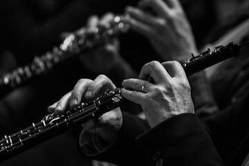 Hands of a musician playing the oboe in an orchestra in black and white - 713829413