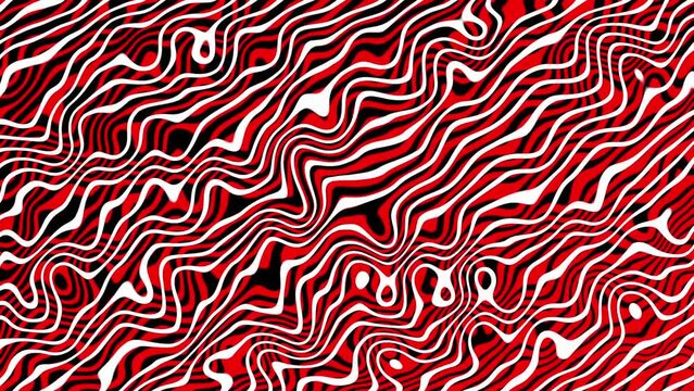 abstract red, white and black background with waves 4k loop, wavy line motion