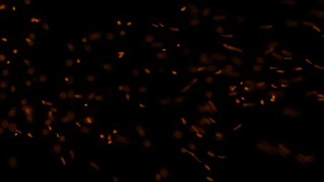Flying Embers from fire. Closeup of burning hot bonfire fire sparks. Fire Particles over black background with smoke