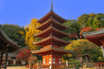 紅葉期の明王院（福山市）の五重塔