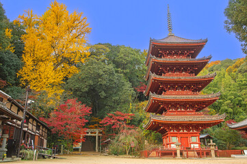 紅葉期の明王院（福山市）の五重塔