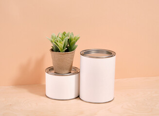 Home improvement and repair concept. White paint cans. The potted plant is standing on a jar.