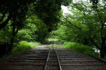 Obraz premium Wooden Railway 