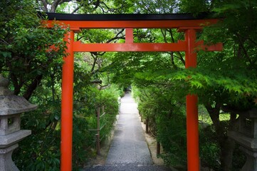 Fototapeta na wymiar Green Shrine