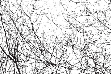 branch vector, Broken tiles mosaic pattern. texture interior background line art. set of graphics elements drawing for architecture and landscape design. cad material