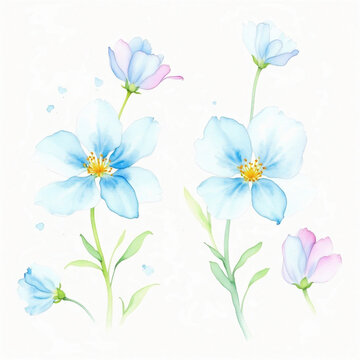 Illustrator of floral with watercolor painting 