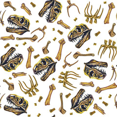 Seamless pattern prehistoric. Dinosaur bones on a white background.. T-rex. Watercolor drawing.

