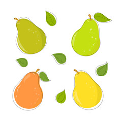 Set of fresh green and yellow pears. Vector illustration of tasty fruits with green leaves isolated on white background. Line art, cartoon, flat style. 