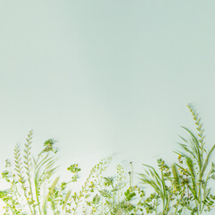 wild plants on green paper background