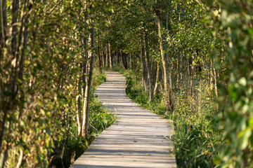 Nationalparks Vorpommersche Boddenlandschaft  Fischland Zingst Darß, Mecklenburg-Vorpommern