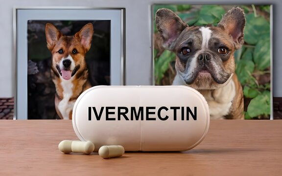 ivermectin