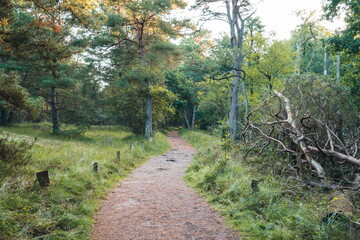Nationalparks Vorpommersche Boddenlandschaft  Fischland Zingst Darß, Mecklenburg-Vorpommern