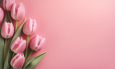 colorful tulips on pink background with copy space