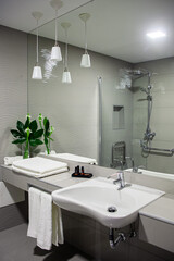 Luxurious rural hotel bathroom: Elegant ambiance featuring exquisite tiles, sleek design, and soft lighting for a sophisticated retreat.