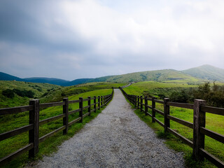 Landscape view of the Qingtiangang Grassland in Yangmingshan National Park in the north of Beitou, Taipei.