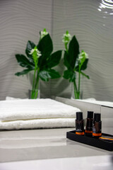 Beauty products and body wash neatly arranged in a luxurious hotel bathroom, exuding indulgence and personal care.