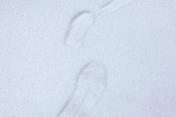雪の上に残された足跡
