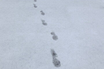 雪の上に残された足跡